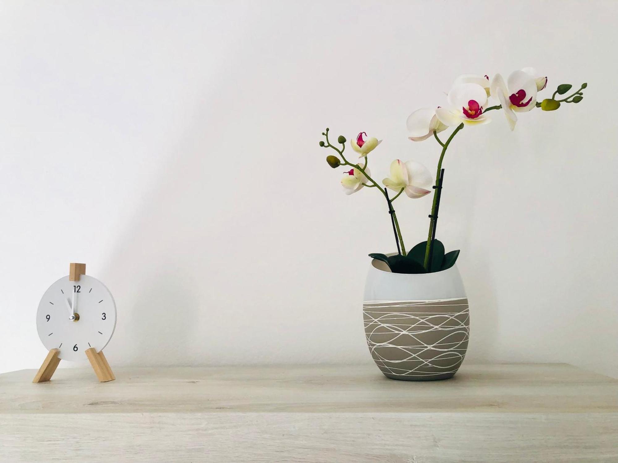 La Maison De Famille Appartamento Indipendente Con Cucina E Lavatrice 奧爾比亞 外观 照片